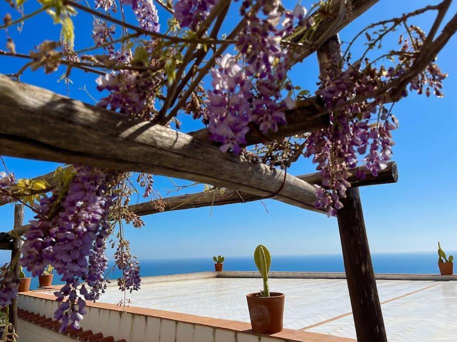 Capri