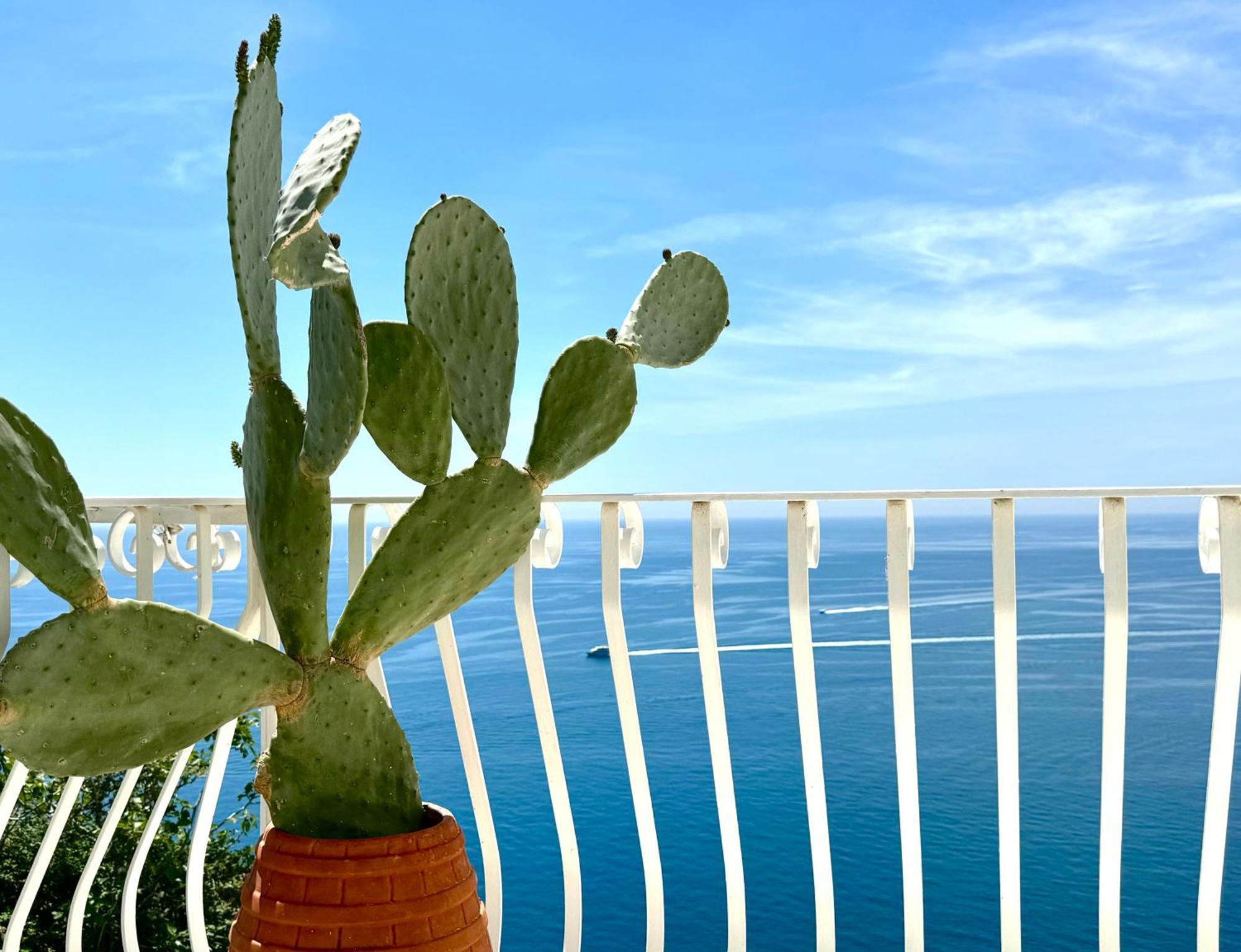 Capri